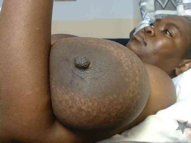 titi-fiesta webcam