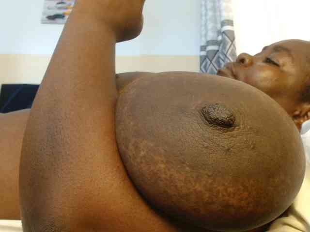 titi-fiesta webcam