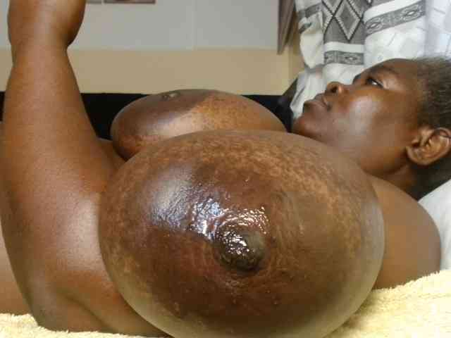 titi-fiesta webcam