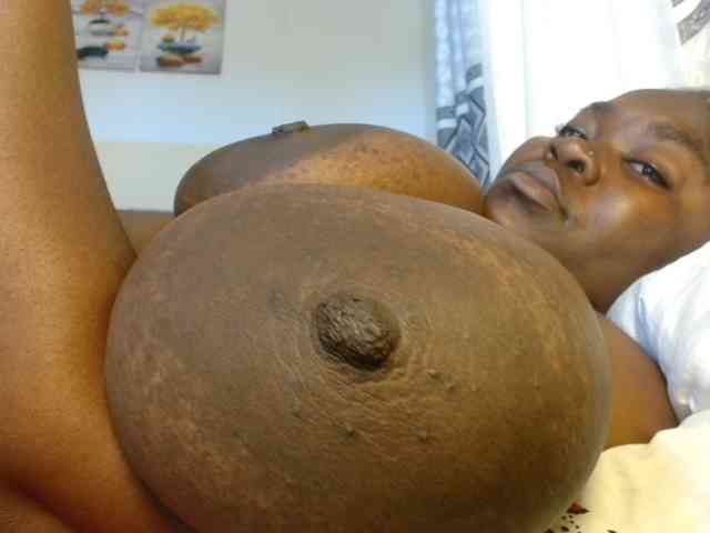 titi-fiesta webcam