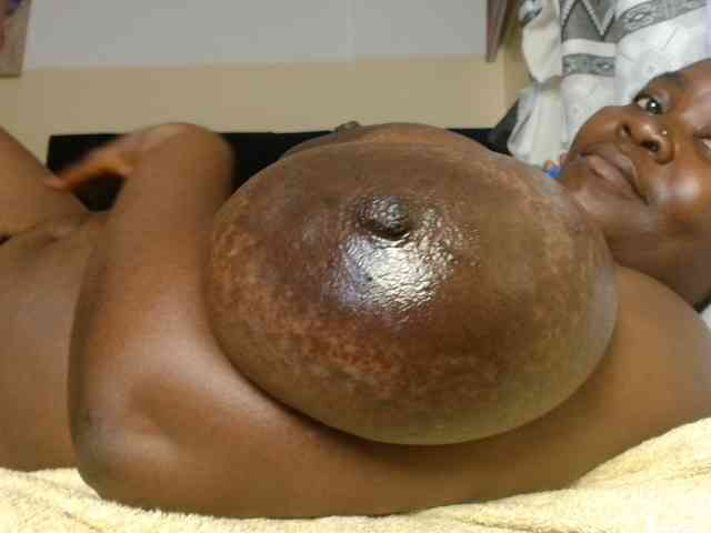 titi-fiesta webcam
