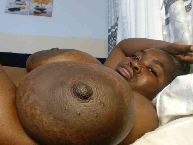 titi-fiesta webcam