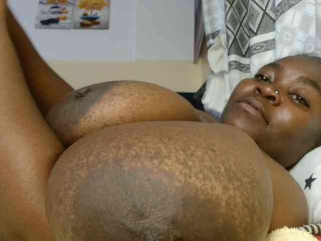 titi-fiesta webcam