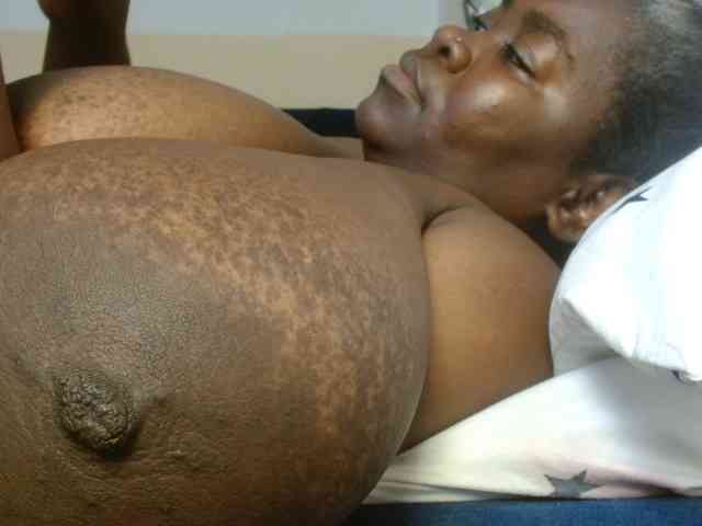 titi-fiesta webcam