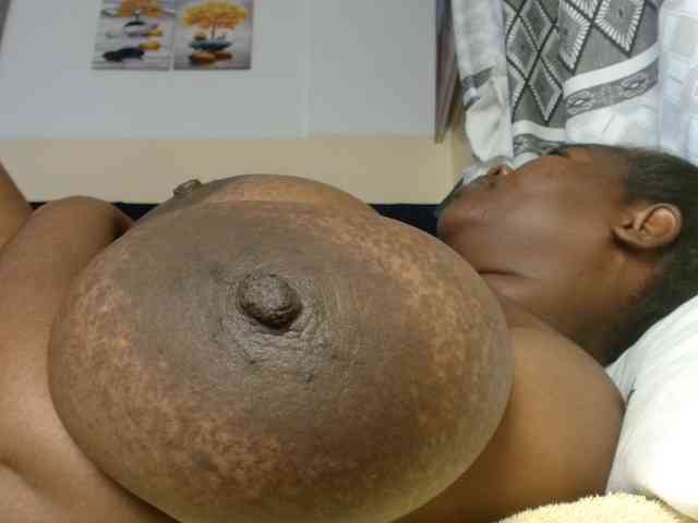 titi-fiesta webcam