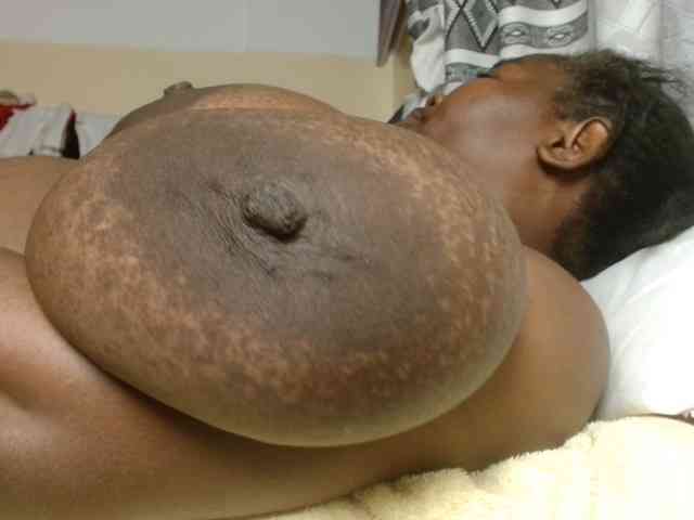 titi-fiesta webcam
