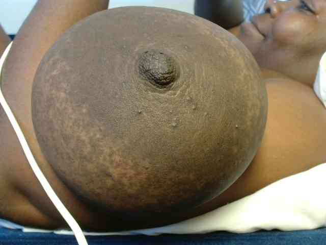 titi-fiesta webcam