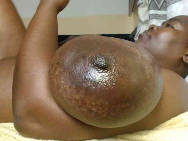 titi-fiesta webcam