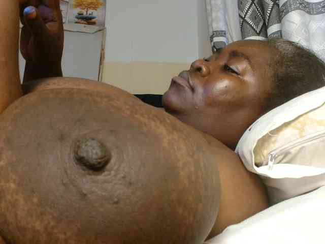 titi-fiesta webcam