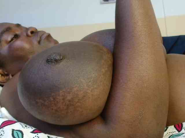 titi-fiesta webcam