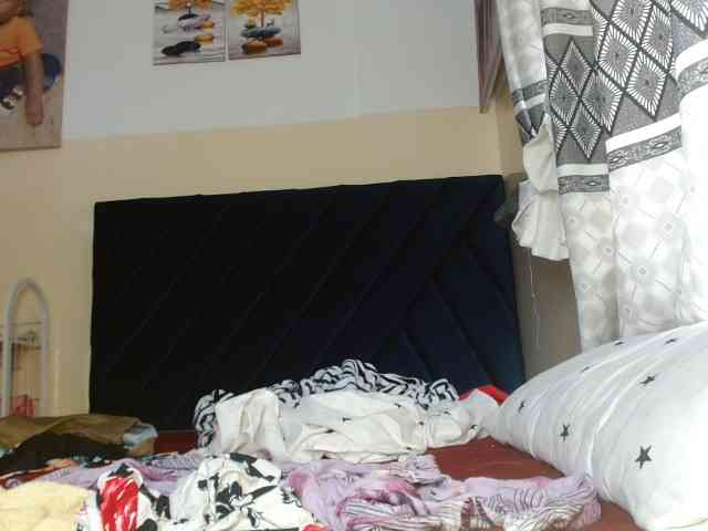 titi-fiesta webcam