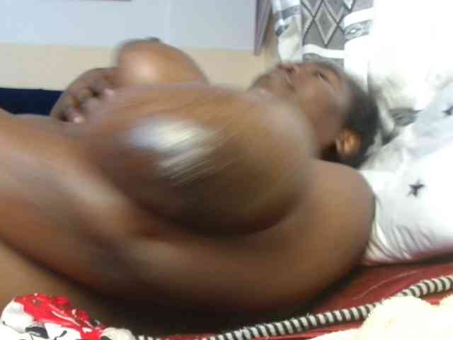 titi-fiesta webcam