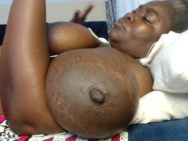 titi-fiesta webcam