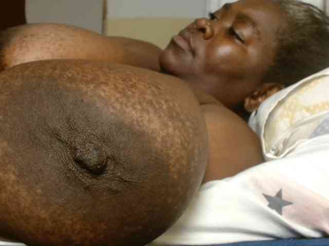 titi-fiesta webcam