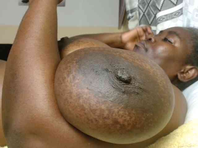 titi-fiesta webcam