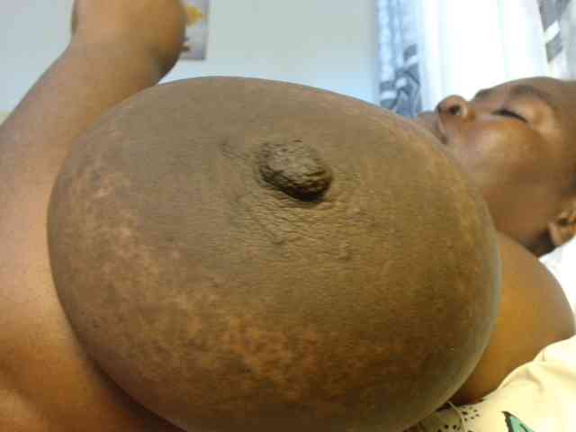 titi-fiesta webcam