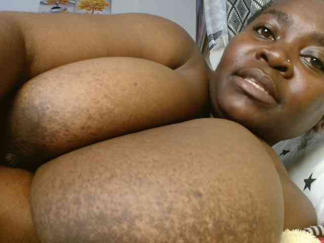 titi-fiesta webcam