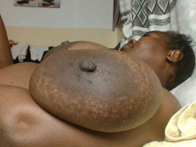 titi-fiesta webcam