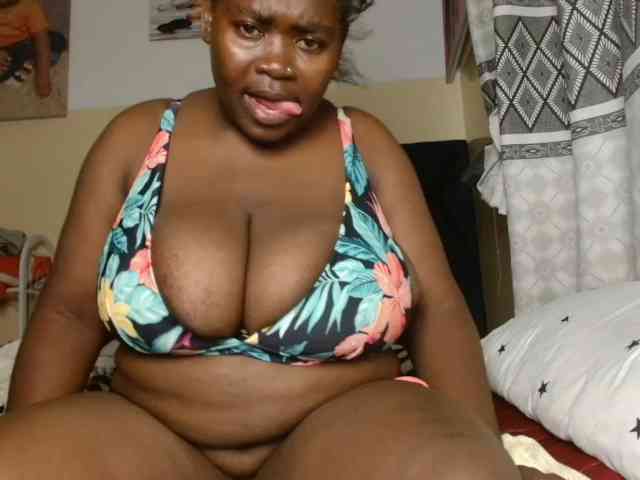 titi-fiesta webcam
