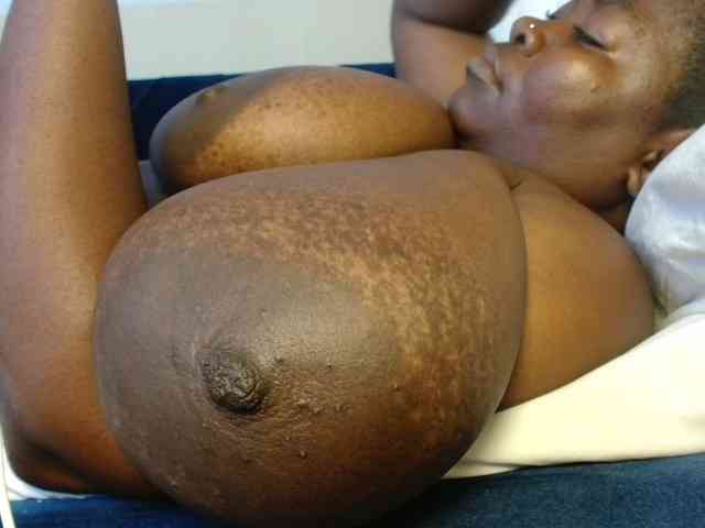 titi-fiesta webcam