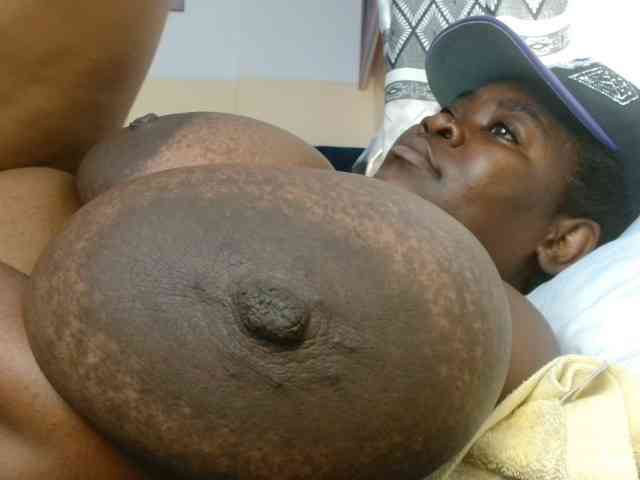 titi-fiesta webcam