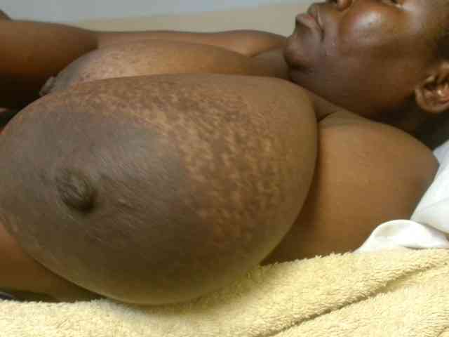 titi-fiesta webcam