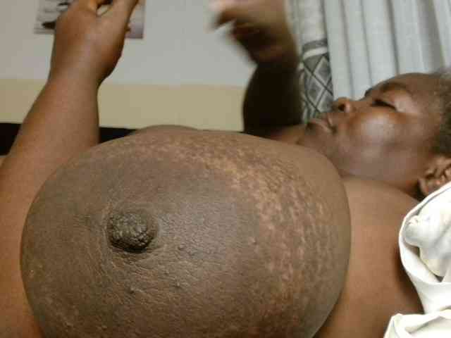titi-fiesta webcam