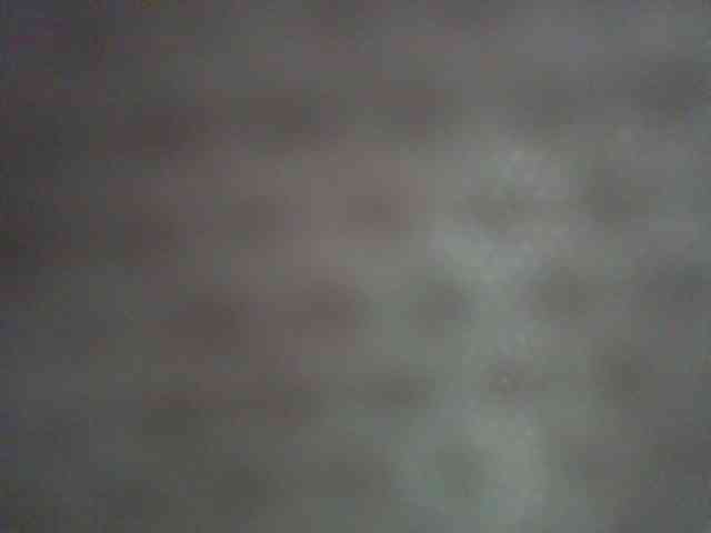 Sexie-ass webcam