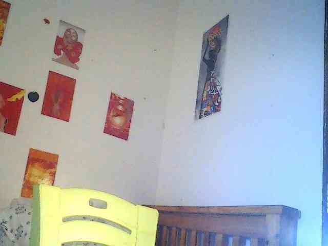 Daisyi webcam