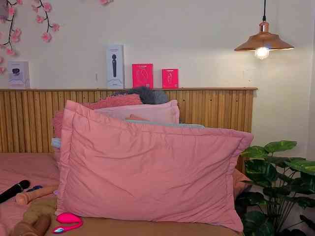 selenanoir1 webcam