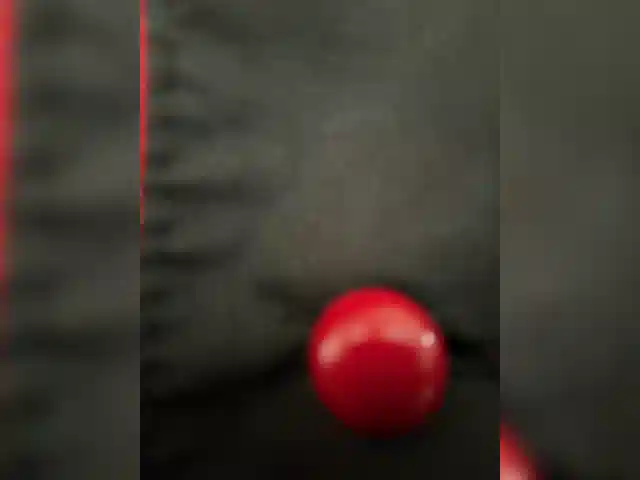 Grant011