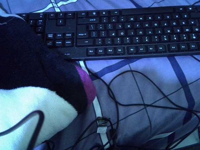 Cherry021 live cam preview