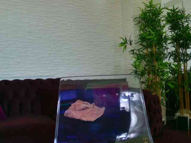 YonaMoon