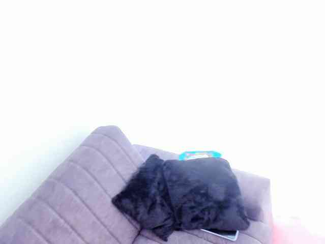 Vailoet webcam