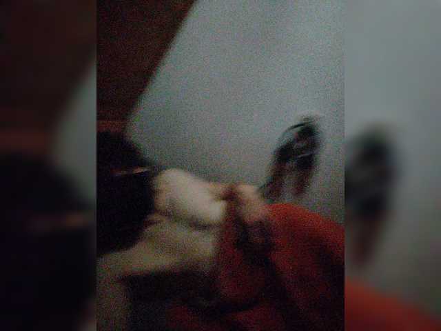 KinkStarHot