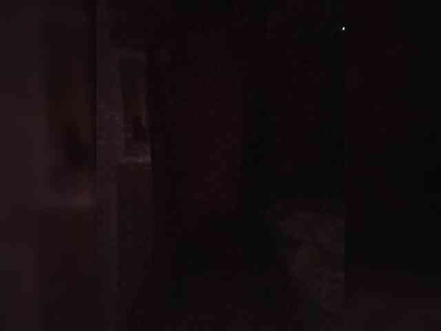 JudiJ webcam