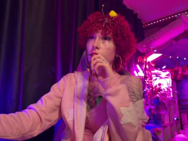 LilyLorsi