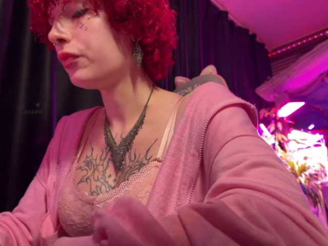 LilyLorsi