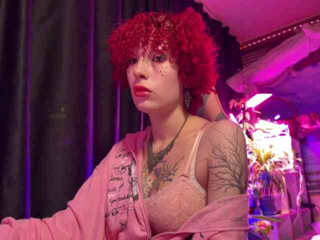 LilyLorsi
