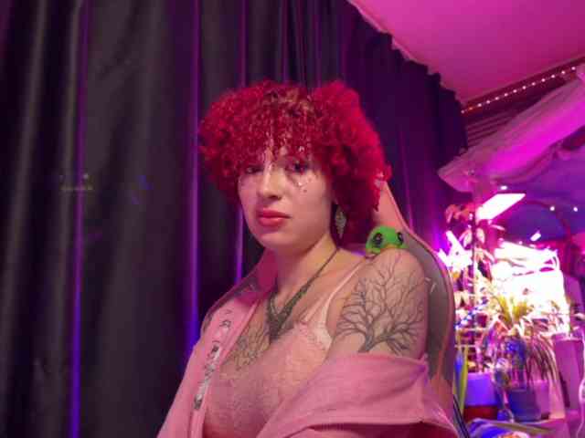 LilyLorsi