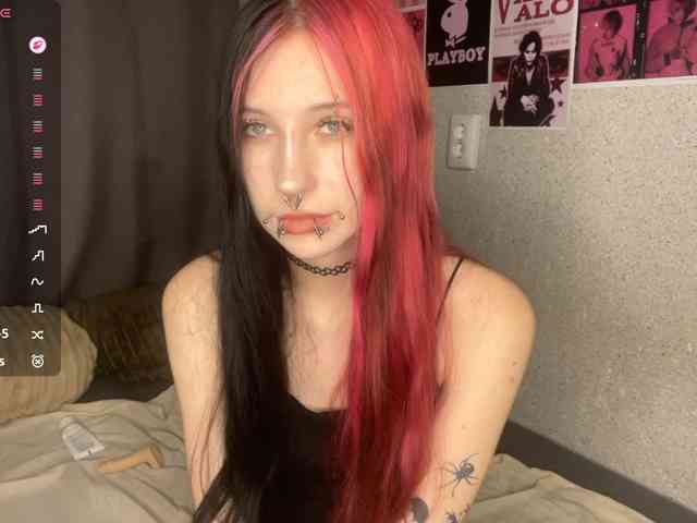 LilyOps webcam