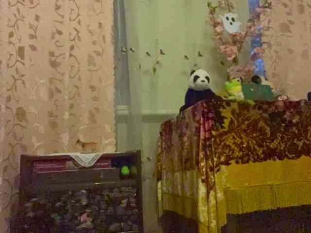 OdeliaBetesh webcam