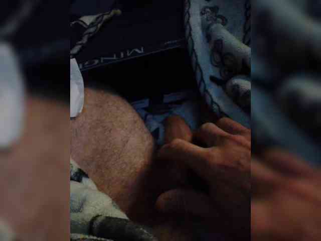 Koly198