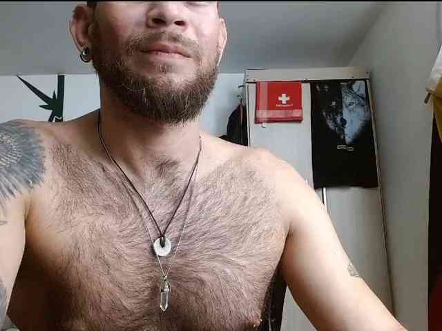 Loganthewolf