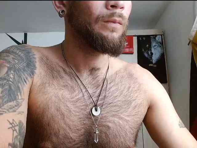 Loganthewolf Loganthewolf