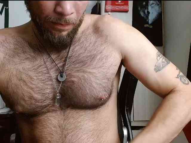 Loganthewolf Loganthewolf
