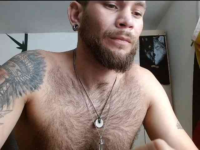 Loganthewolf Loganthewolf