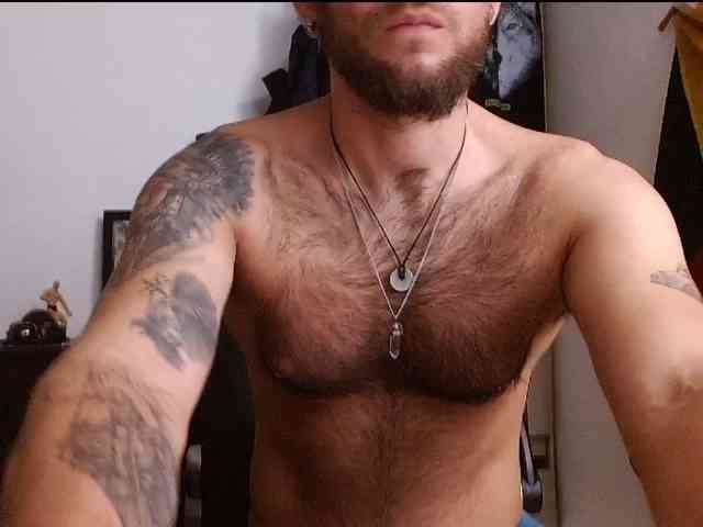 Loganthewolf Loganthewolf