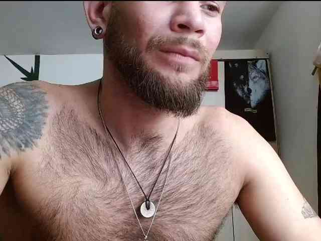 Loganthewolf