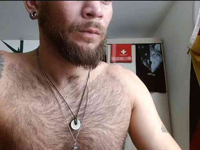 Loganthewolf